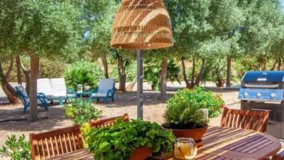 Chalet in Campos photo 3