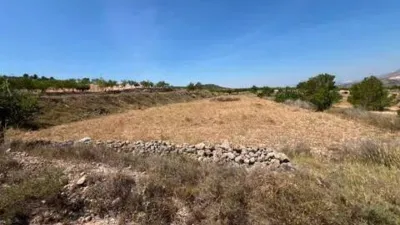 Terreno en venta en Orihuela Pedanías - Vista 5