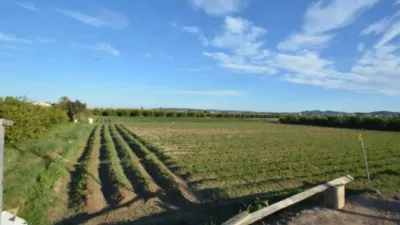 Terreno en venta en Orihuela - Más