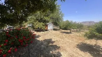 Rustic property in Cártama photo 16
