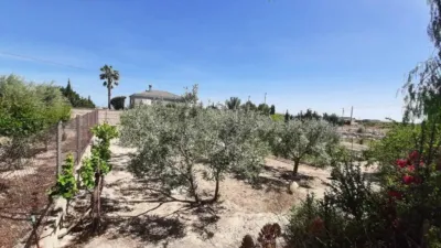 Rustic house in Torrellano-Valverde-Business Park photo 35