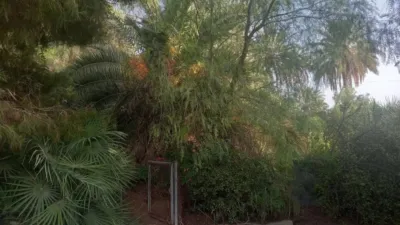 Casa – Elx - Elche - Vista 4