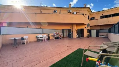 Apartment in Alcúdia photo 34