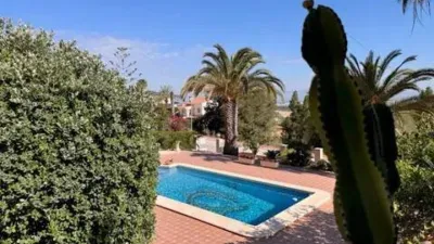 Chalet in Algorfa photo 25