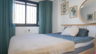 Apartment in Varadero-Santa Pola East photo 35