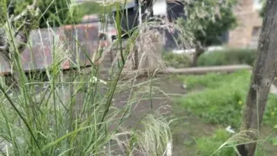 Rustic house in Ortuella photo 27