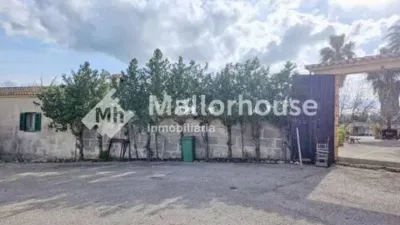 Rustic property in Santa Margalida photo 35