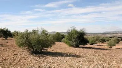 Terreno en venta en Biar - Vista 5