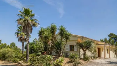 Chalet in Marina Manresa-Mal Pas-Bonaire photo 2
