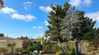 Casa – Orihuela, Mil Palmeras - Vista 5