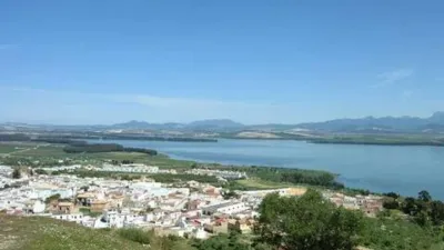 Apartment in Bornos photo 20