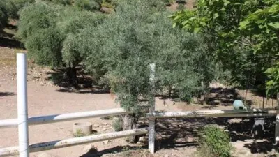 Chalet in Zahara de la Sierra photo 19