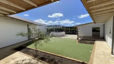 Chalet in La Oliva photo 20