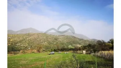 Chalet en Algodonales photo 9