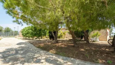 Chalet in Santa Margalida photo 9