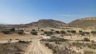 Terreno en venta en El Pinós - Pinoso - Vista 4