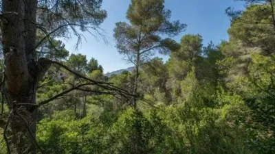 Terreno en venta en los Cerezos-La Mandarina-La Finca-Covatelles - Vista 3