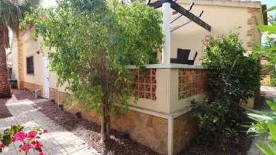 Chalet in Formentera del Segura photo 35