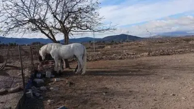 Piso – Monòver / Monóvar - Vista 5