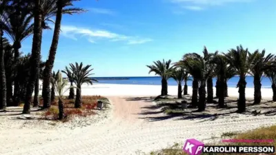 Penthouse in Centre-Port-Platja Llevant photo 9