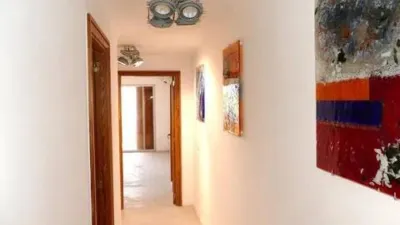 Apartment in Son Cladera-Son Rutlan-Verge de Lluc photo 4