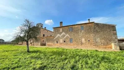 Rustic property in Algaida photo 28