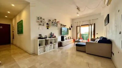 Apartment in Alcúdia photo 18