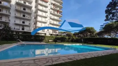 Apartment in Els Pins photo 2