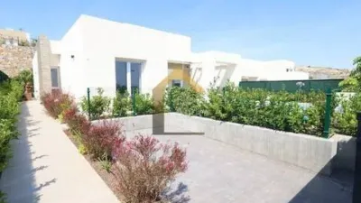 Chalet in Algorfa photo 2