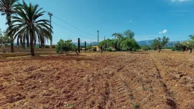 Rustic house in Son Sardina photo 6
