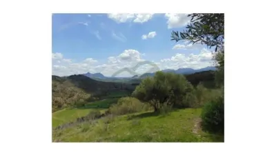 Chalet in Algodonales photo 4