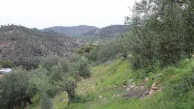Chalet in Algodonales photo 16