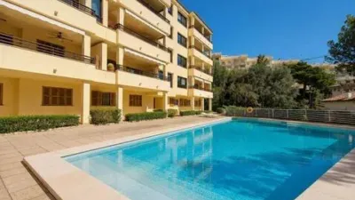Apartment in Sant Agustí photo 19