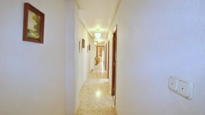Piso – Elx - Elche - Más