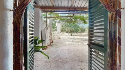 Rustic house in Son Sardina photo 33