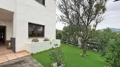 Apartment in Selwo photo 46