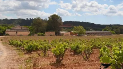 Rustic house in Vila-rodona photo 50