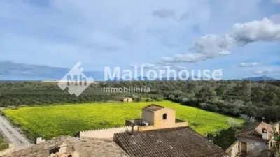 Rustic property in Santa Margalida photo 14
