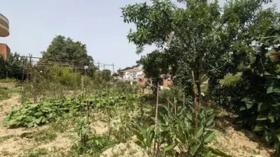 Chalet on Carrer de Sant Antoni photo 26