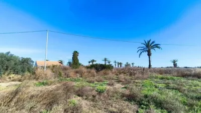 Chalet in Elx - Elche photo 35