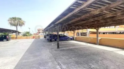 Apartment in La Oliva photo 11