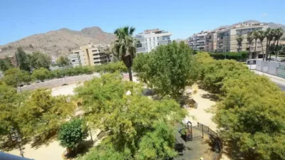Piso – Orihuela, Obispo Rocamora - Más