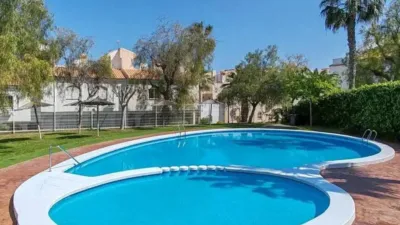 Chalet in Elx - Elche photo 2