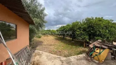 Chalet in Son Sardina photo 23