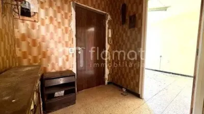 Apartment in Calella photo 23