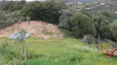 Chalet in Algodonales photo 11
