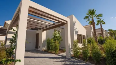 Chalet in Algorfa photo 61