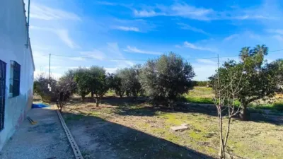 Chalet in Elx - Elche photo 25