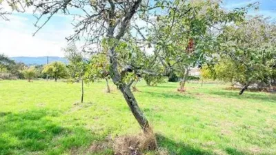 Rustic house in Piñor photo 23
