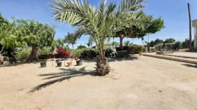 Piso – Elche, Elx - Parc Empresarial, Jubalcoi - Vista 2